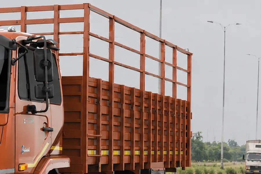Eicher Pro 3018 XP Plus Load Body View