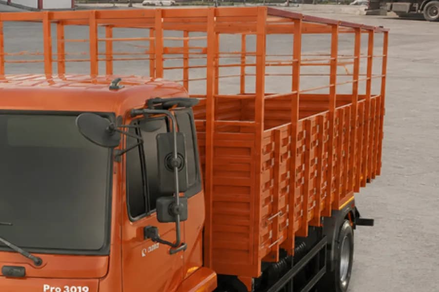 Eicher Pro 3019 Load Body View