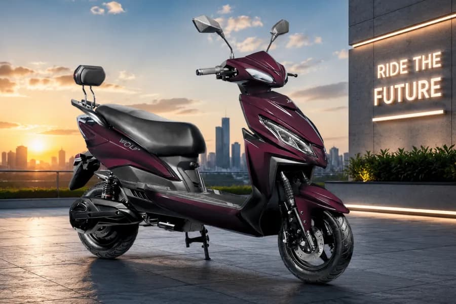 Joy E bike Wolf Plus Image