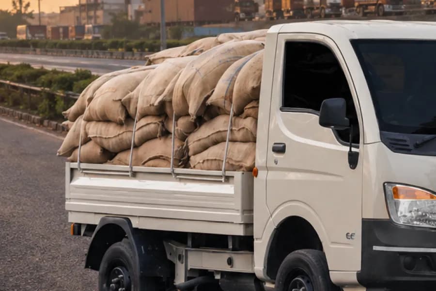 Tata Ace Gold Petrol Load Body View