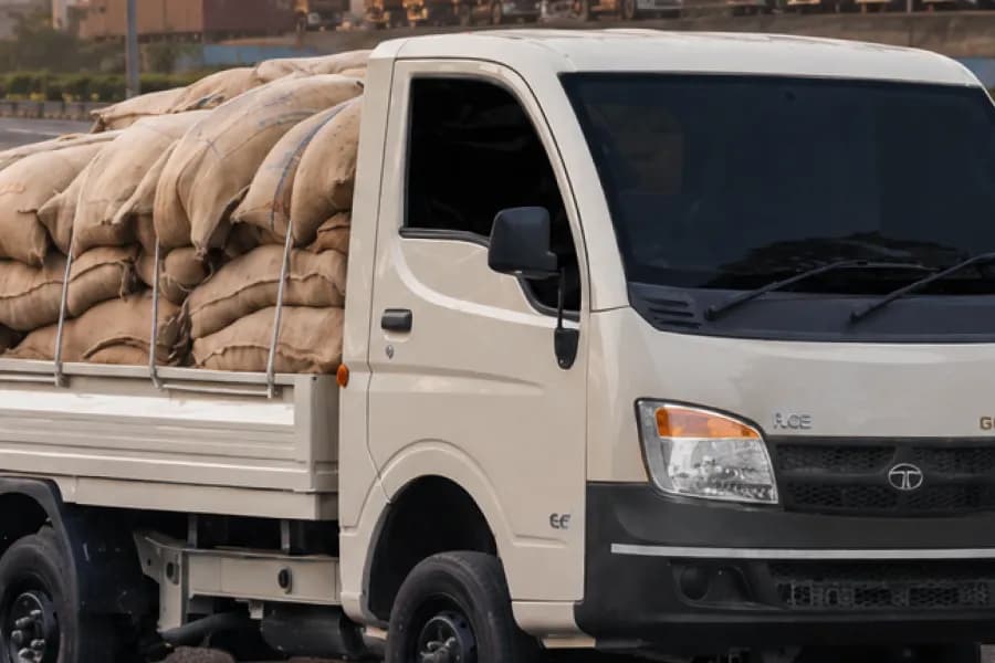 Tata Ace Gold Petrol Driver Door View