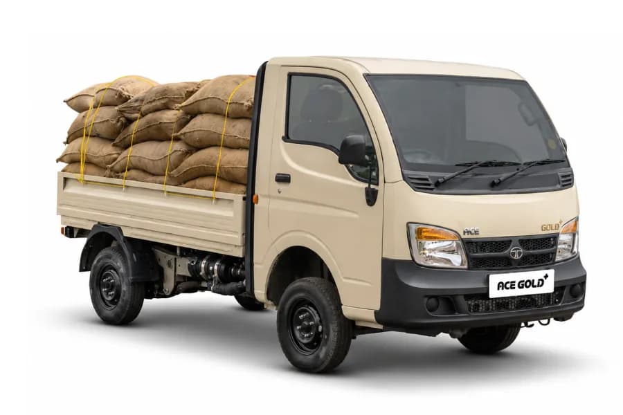 Tata Ace Gold Plus Beige color