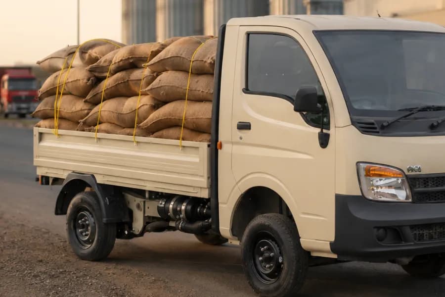 Tata Ace Gold Plus Load Body View