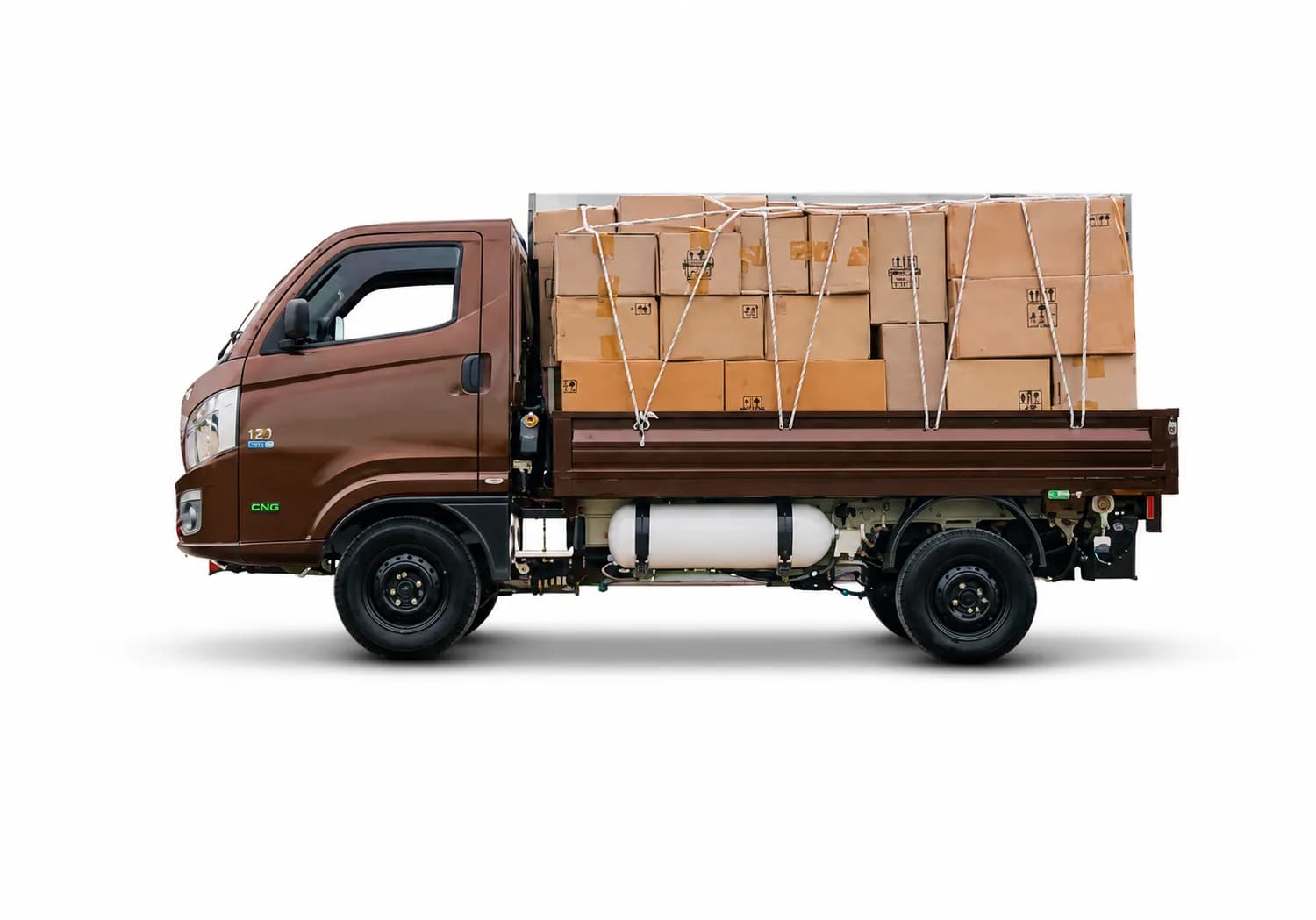 Tata Intra V20 CNG Brown color