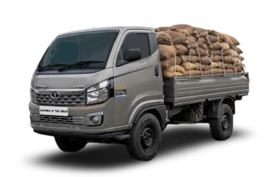 Tata Intra V70 Gold Metallic Grey color
