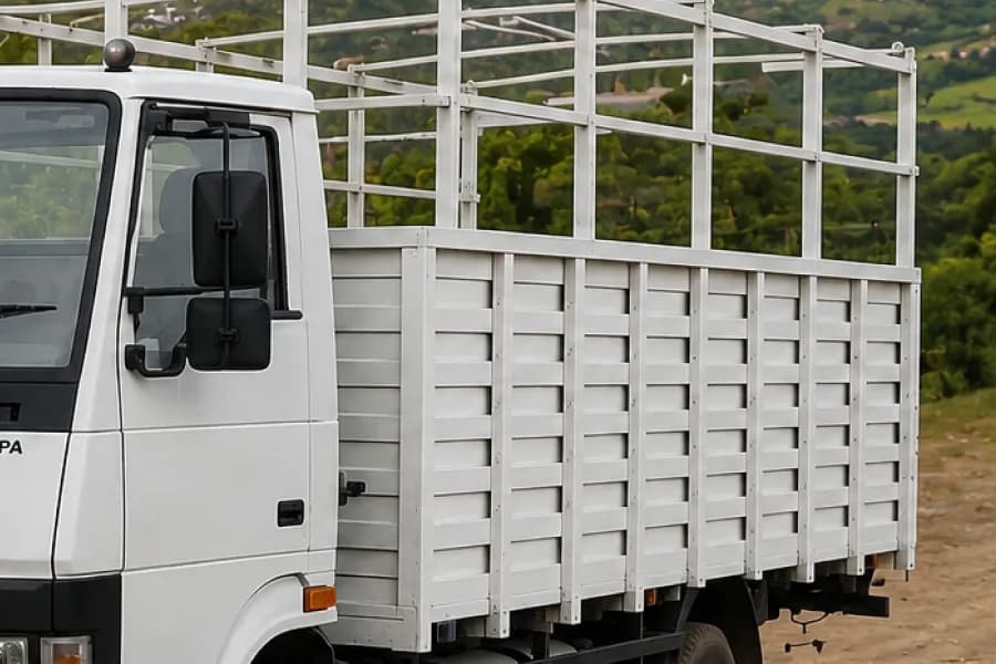 Tata LPT 709G Load Body View