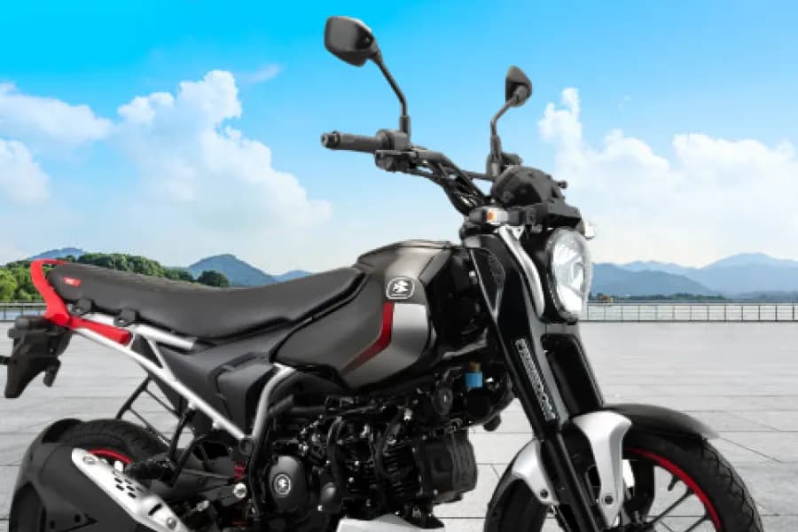 Bajaj Freedom 125 Handle View