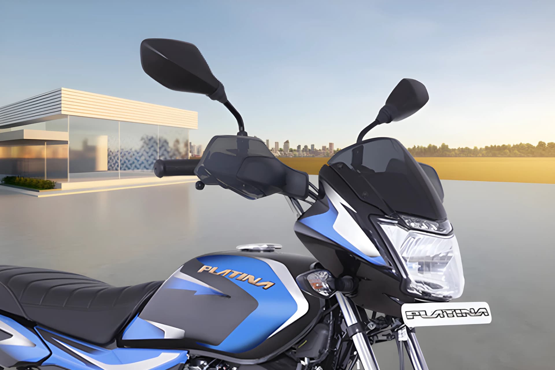 Bajaj Platina 110 Handle View