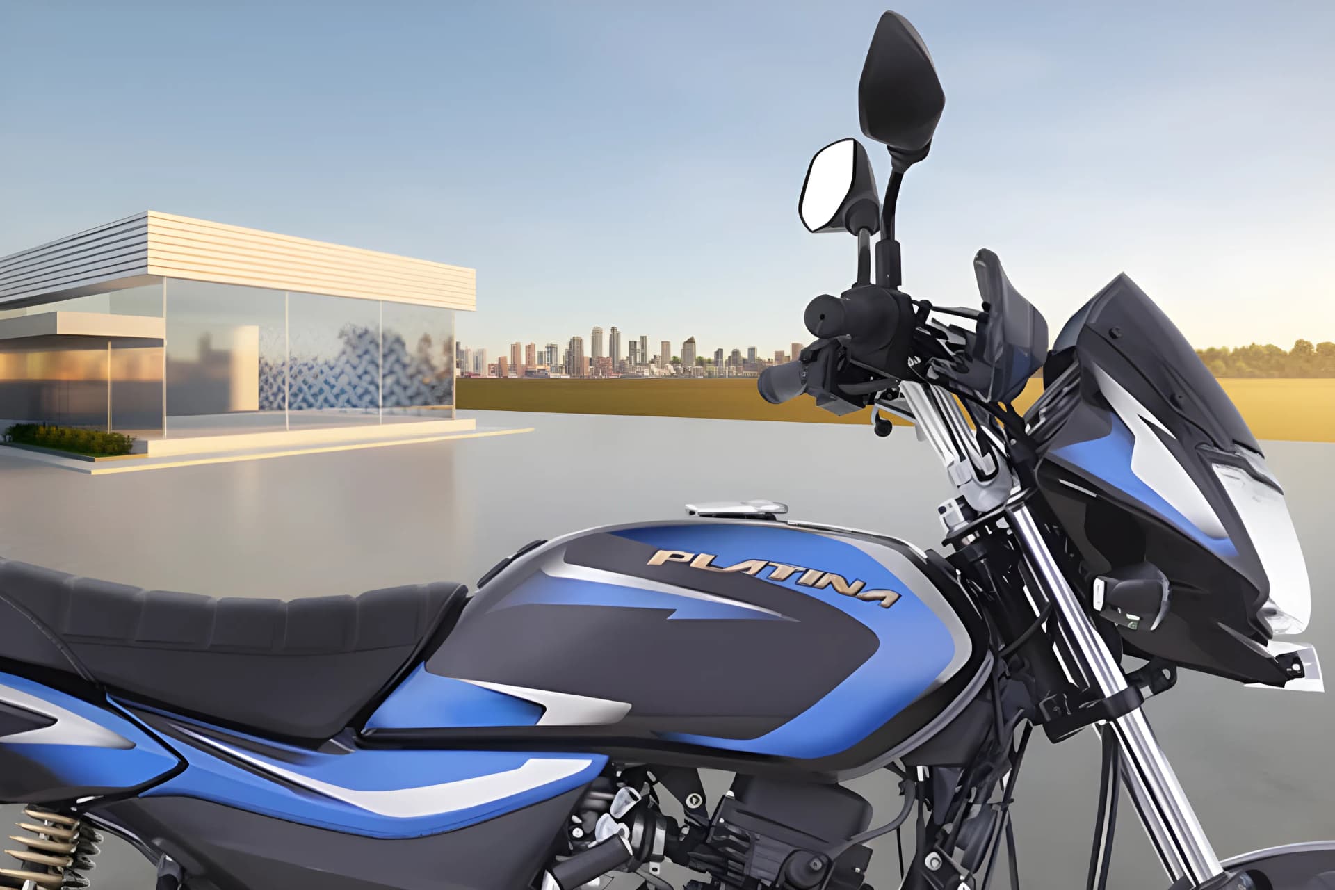 Bajaj Platina 110 Fuel Tank View