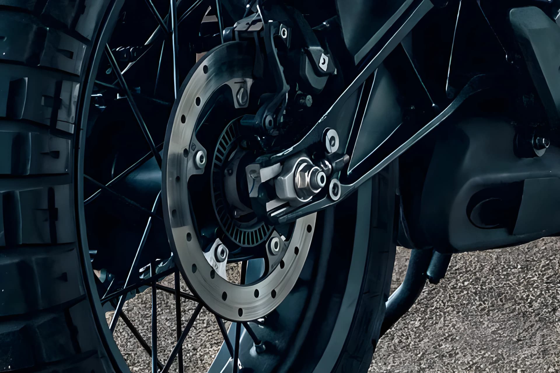 Husqvarna Svartpilen Rear Disc Plate View