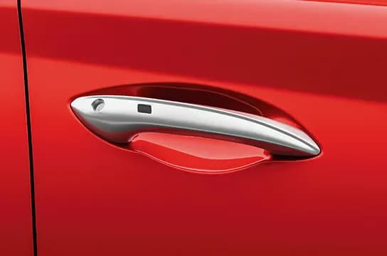 Hyundai i20 Chrome Door Handle View