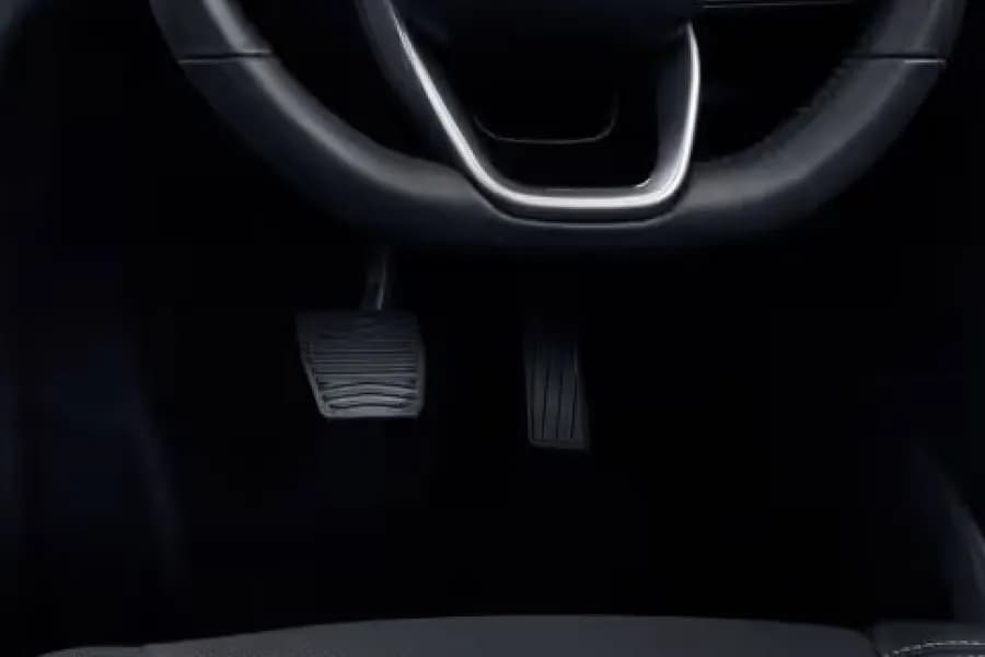 Mahindra Scorpio N Brake & Accelerator View